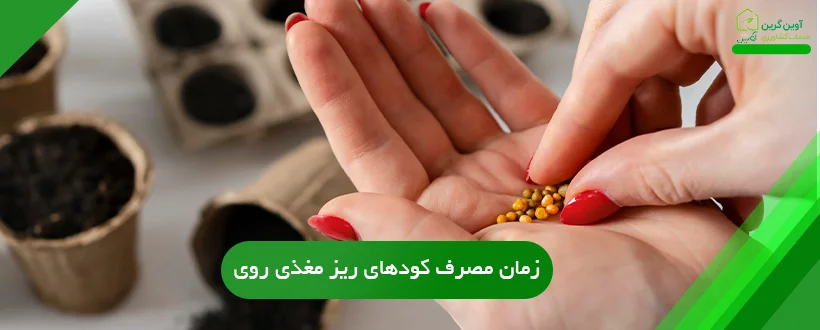 زمان مصرف کودهای ریز مغذی روی