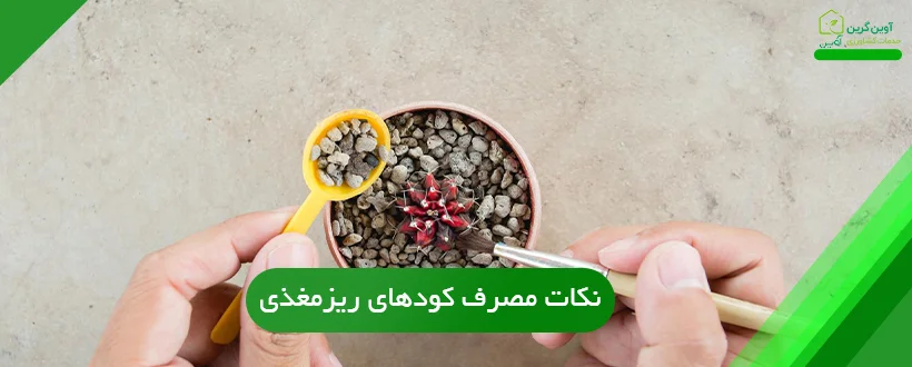 نکات مصرف کودهای ریزمغذی