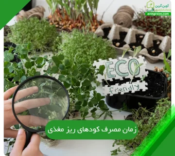 زمان مصرف کودهای ریز مغذی