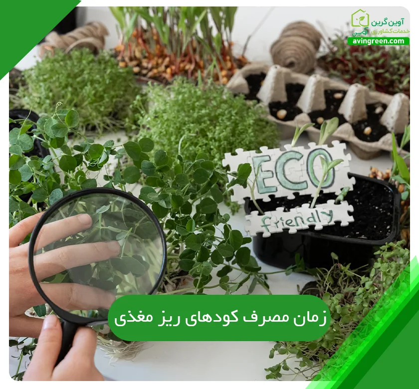 زمان مصرف کودهای ریز مغذی