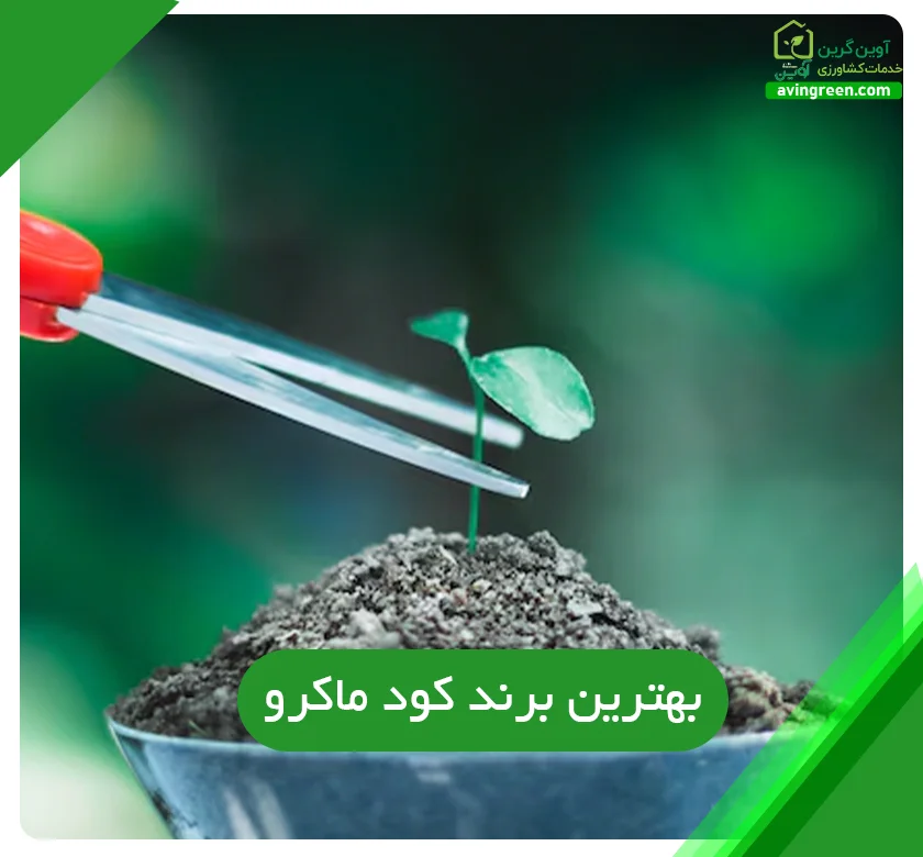 معرفی بهترین برند کود ماکرو در آوین گرین