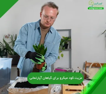 کود میکرو برای گیاهان آپارتمانی