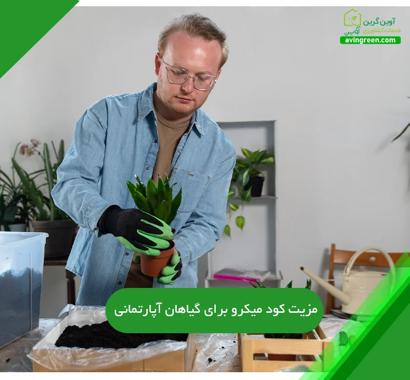 کود میکرو برای گیاهان آپارتمانی