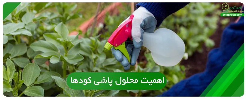 اهمیت محلول پاشی کودها
