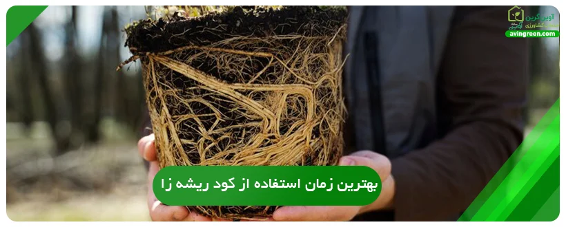 بهترین زمان استفاده از کود ریشه زا