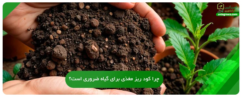 چرا کود ریز مغذی برای گیاه ضروری است؟