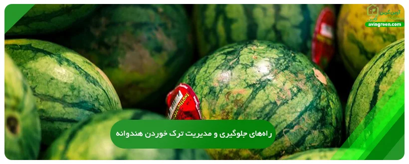 راه‌های جلوگیری و مدیریت ترک خوردن هندوانه