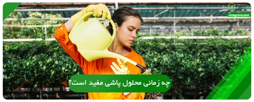 چه زمانی محلول پاشی مفید است؟
