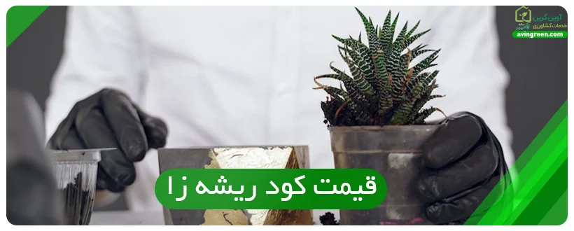 قیمت کود ریشه زا
