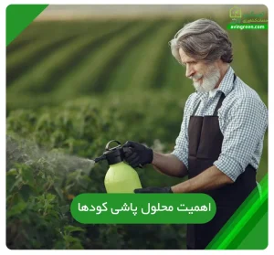 اهمیت محلول پاشی کودها