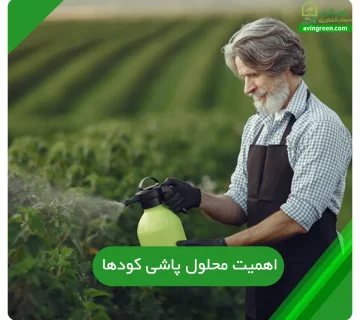 اهمیت محلول پاشی کودها