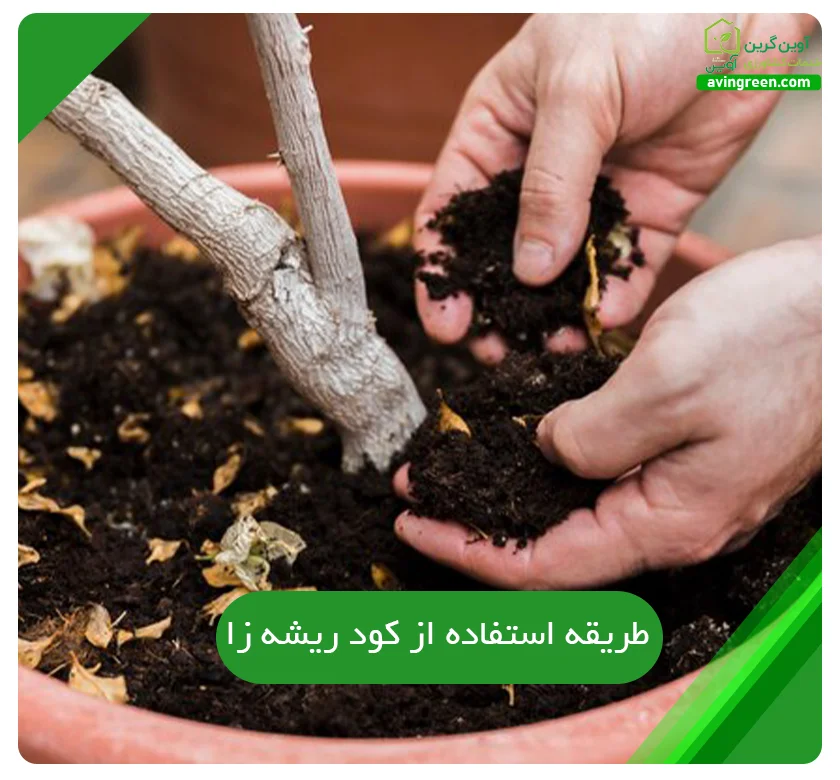 طریقه استفاده از کود ریشه زا