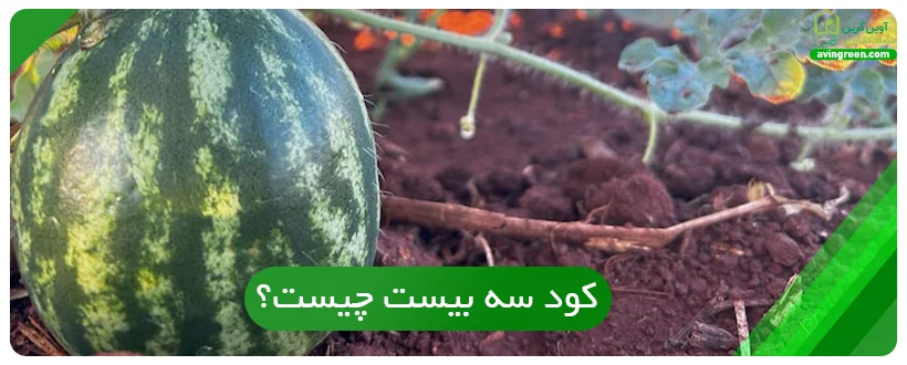 کود سه بیست چیست؟