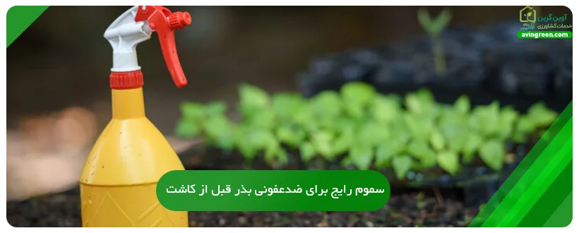 سموم رایج برای ضدعفونی بذر قبل از کاشت