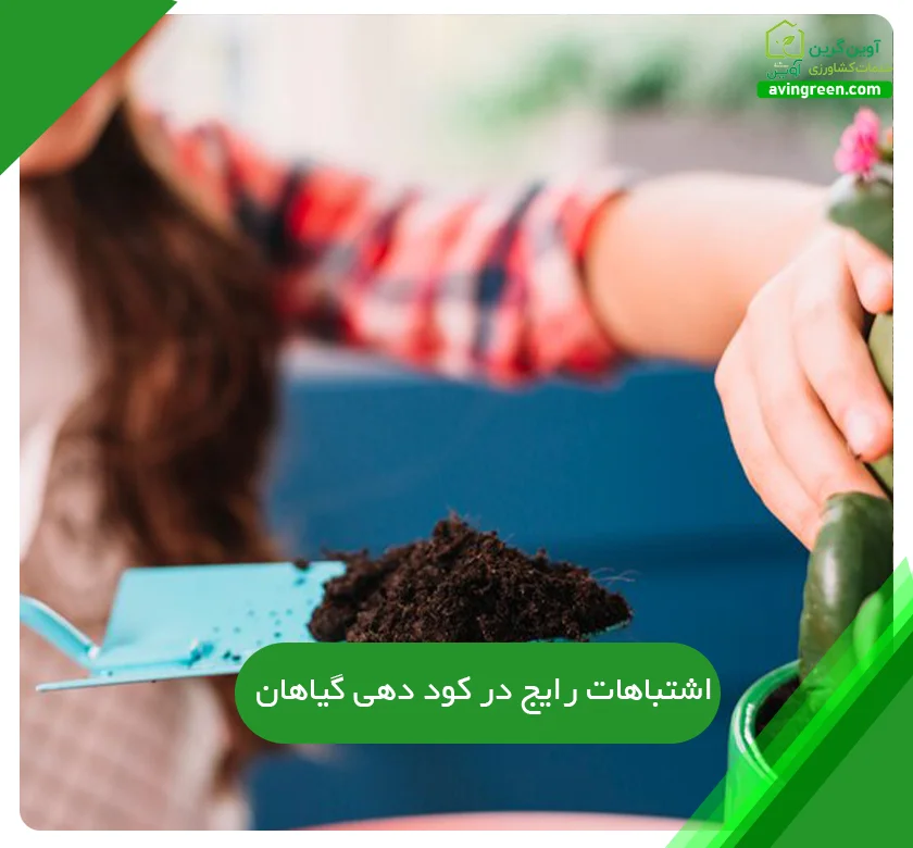 اشتباهات رایج در کود دهی گیاهان