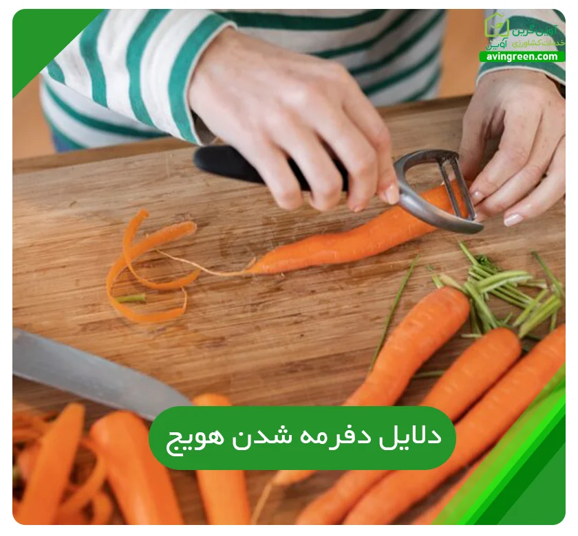 دلایل دفرمه شدن هویج