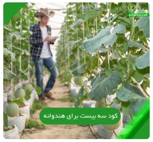 کود سه بیست برای هندوانه