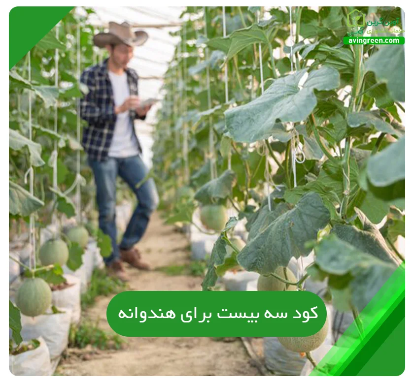 کود سه بیست برای هندوانه