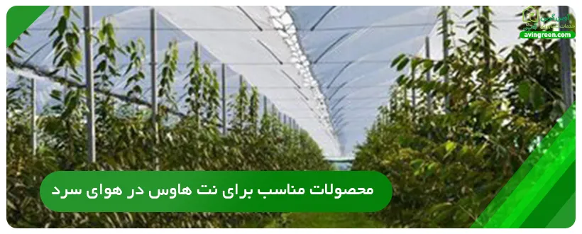 محصولات مناسب برای نت هاوس در هوای سرد