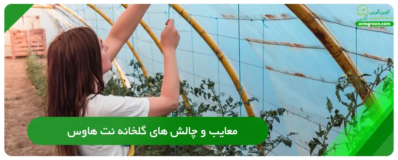 معایب و چالشهای گلخانه نت هاوس