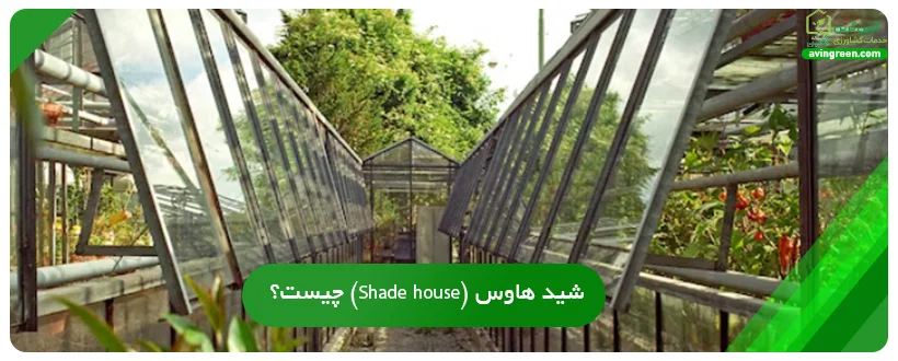 شید هاوس (Shade house) چیست؟