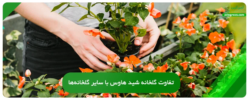 تفاوت گلخانه شید هاوس با سایر گلخانه‌ها