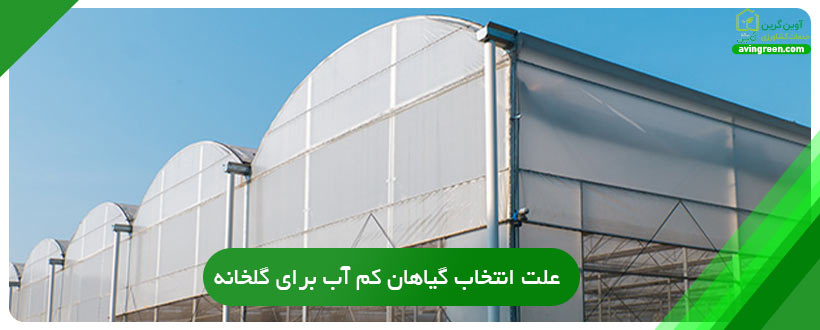 علت انتخاب گیاهان کم آب برای گلخانه