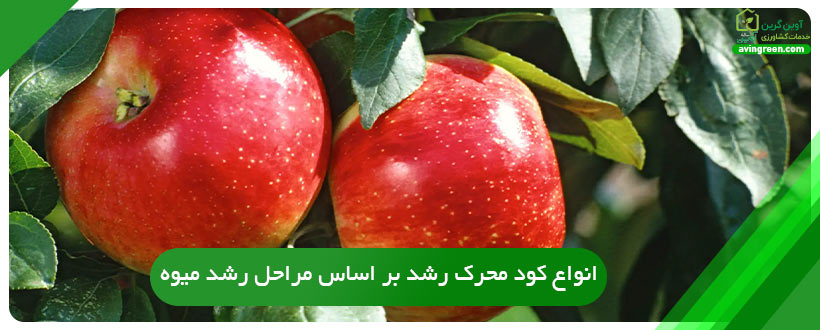 انواع کود محرک رشد بر اساس مراحل رشد میوه