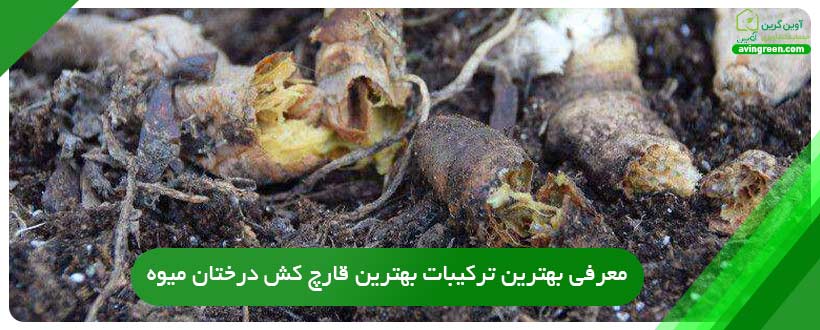 معرفی بهترین ترکیبات بهترین قارچ کش درختان میوه
