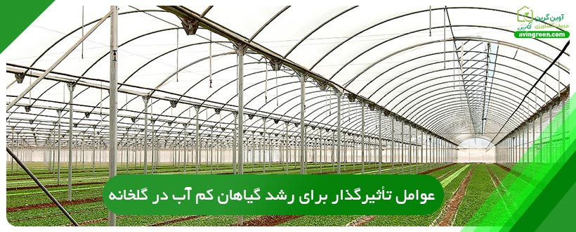 عوامل تأثیرگذار برای رشد گیاهان کم آب در گلخانه