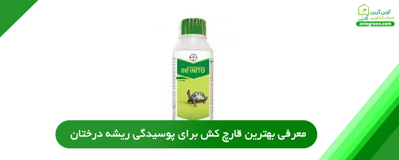 معرفی بهترین قارچ کش برای پوسیدگی ریشه درختان