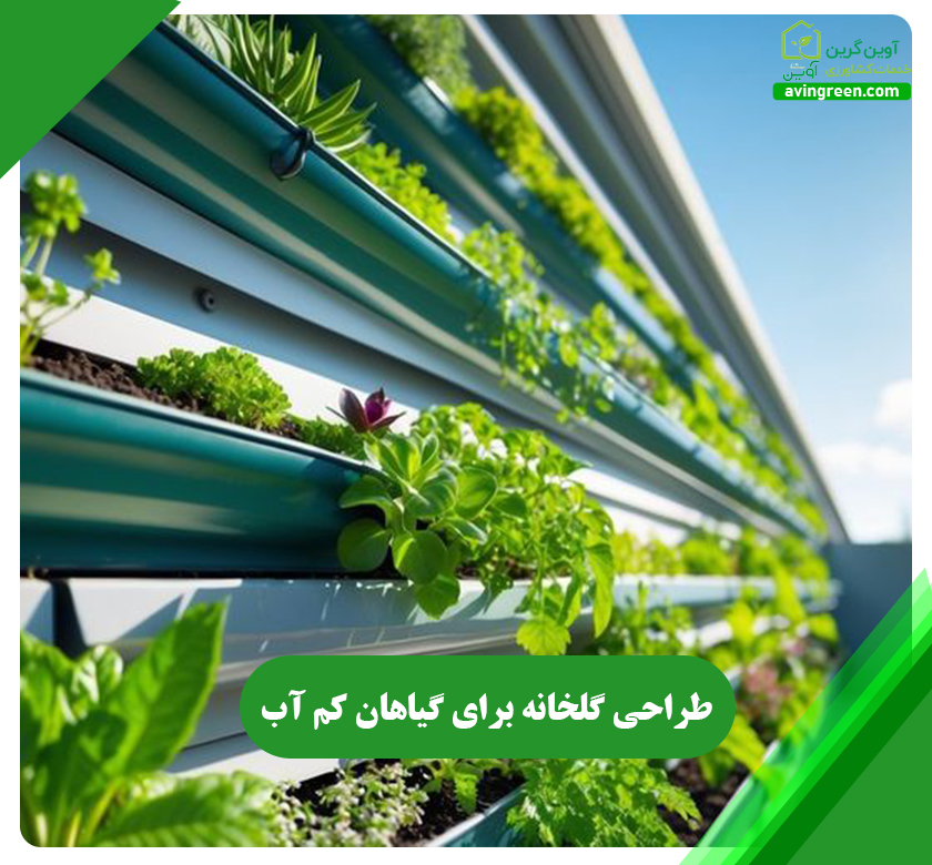 طراحی گلخانه برای گیاهان کم آب