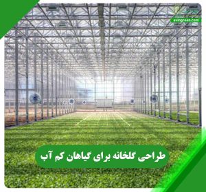 طراحی گلخانه برای گیاهان کم آب