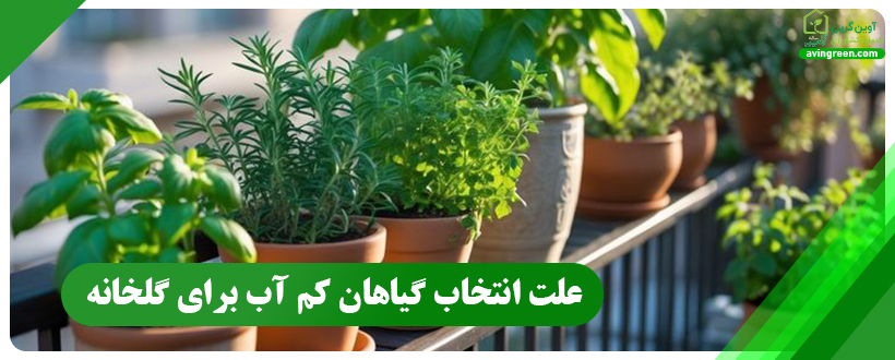 علت انتخاب گیاهان کم آب برای گلخانه