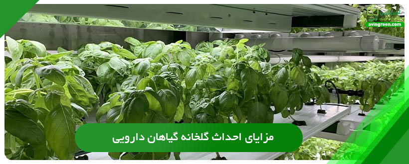 مزایای احداث گلخانه گیاهان دارویی
