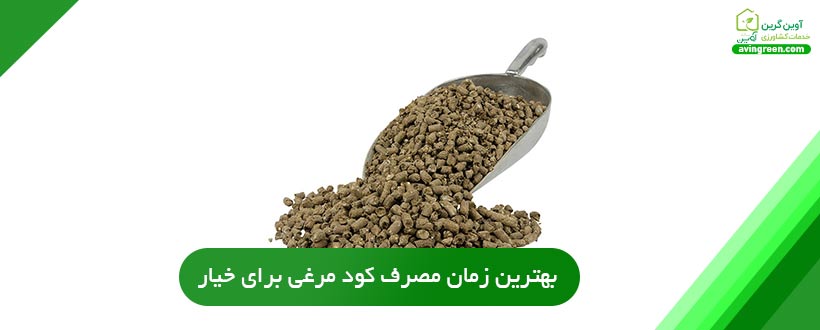 بهترین زمان مصرف کود مرغی برای خیار