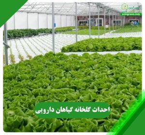 احداث گلخانه گیاهان دارویی