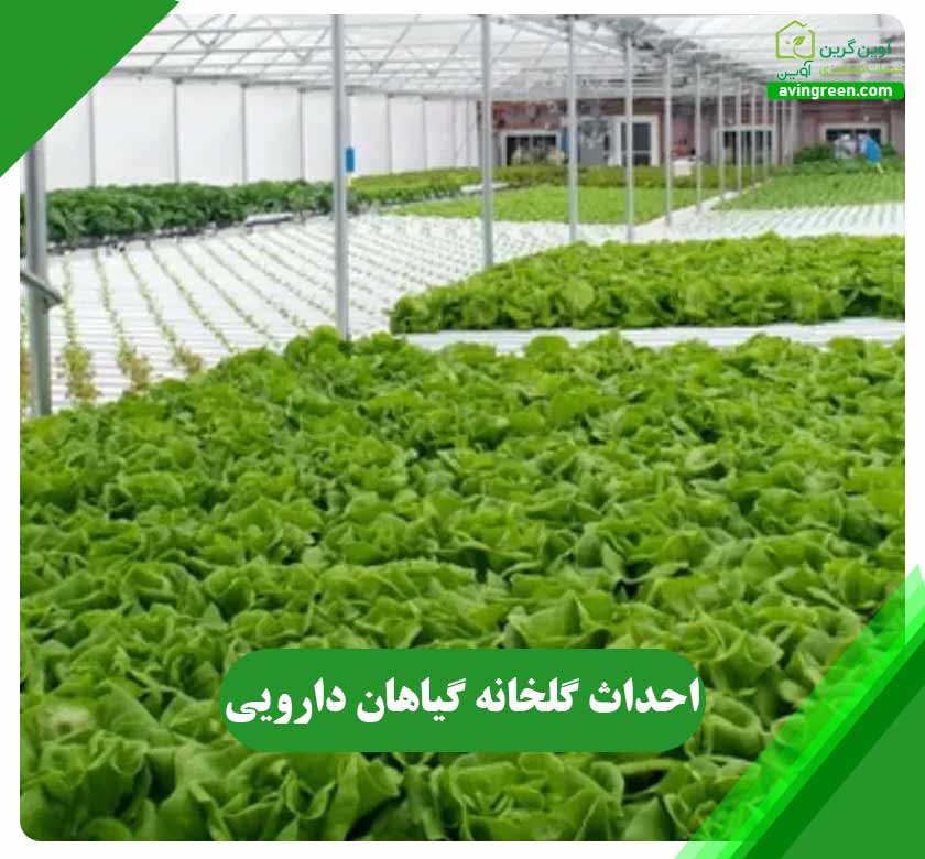 احداث گلخانه گیاهان دارویی