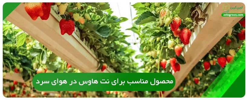 محصول مناسب برای نت هاوس در هوای سرد