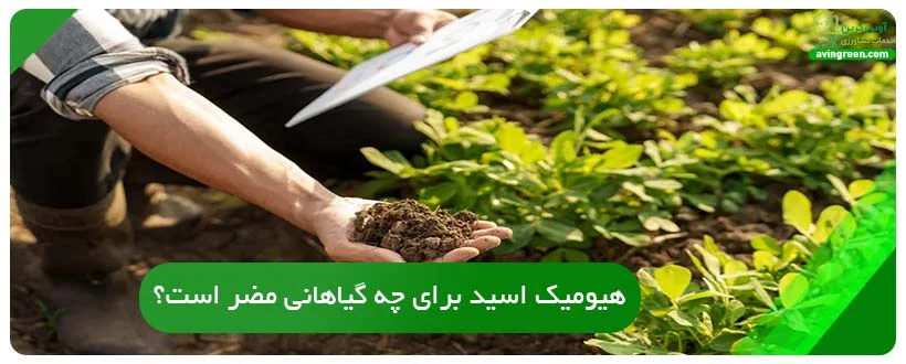 هیومیک اسید برای چه گیاهانی مضر است؟