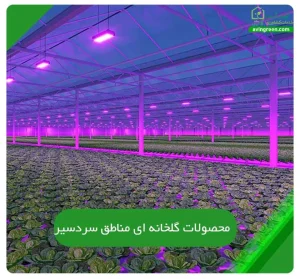 محصولات گلخانه ای مناطق سردسیر