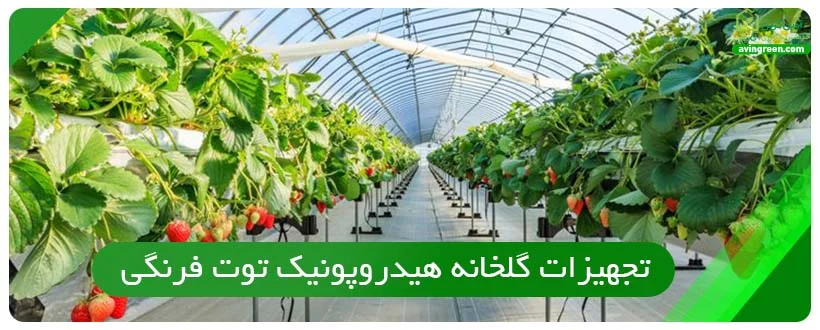 تجهیزات گلخانه هیدروپونیک توت فرنگی