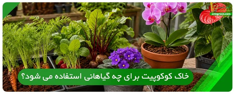 خاک کوکوپیت برای چه گیاهانی استفاده می شود؟