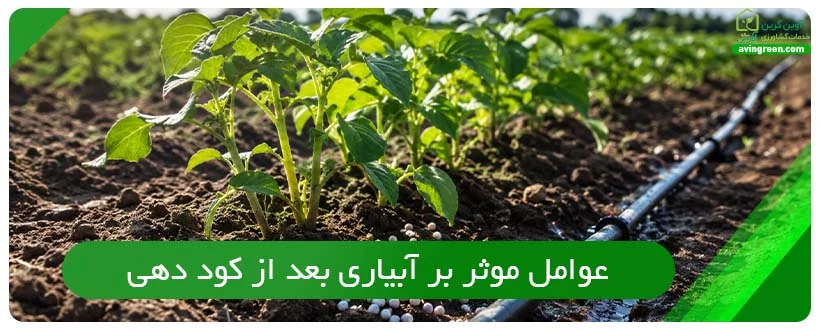 عوامل موثر بر آبیاری بعد از کود دهی