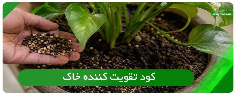 کود تقویت کننده خاک
