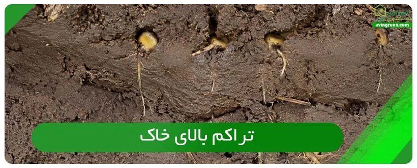 خاک اصلی ترین بستر کشت