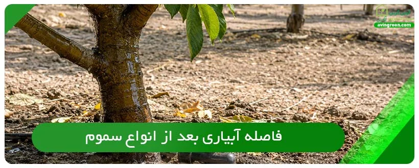 فاصله آبیاری بعد از انواع سموم