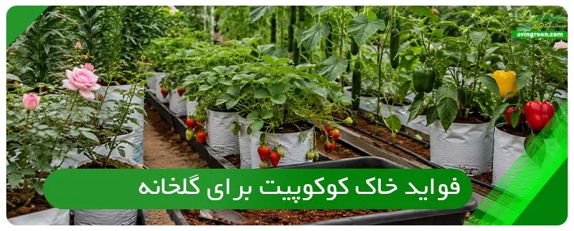 فواید خاک کوکوپیت برای گلخانه