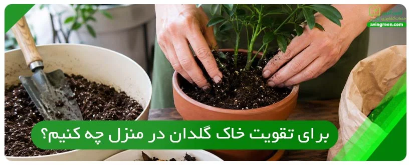 برای تقویت خاک گلدان در منزل چه کنیم؟