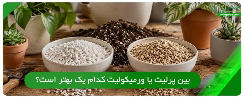 بین پرلیت یا ورمیکولیت کدام یک بهتر است؟